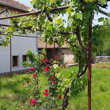 Guest House Art Eco Land Ganchovets Exterior foto